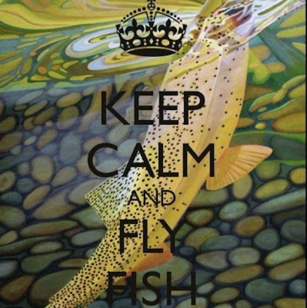 Meet your Posher, Steven